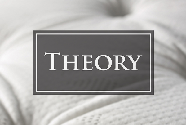 Theory Identity